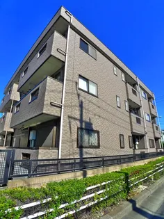 ラフィーヌ 昴の画像