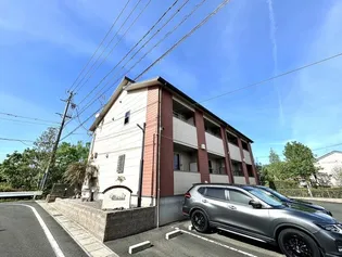 パルメートAの画像