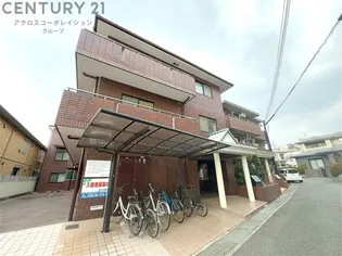 ダンディライオン宝塚の画像