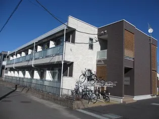 リブリ コンソラトゥールの画像