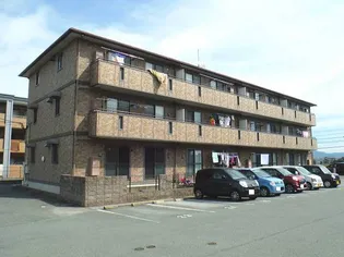 ビューアゼリアの画像