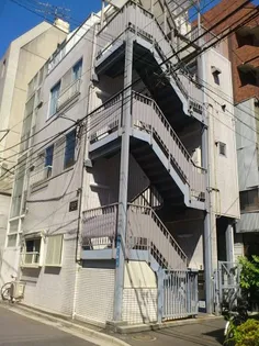 シェモアコトブキの画像