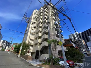 大阪府大阪市天王寺区堀越町【マンション】の外観