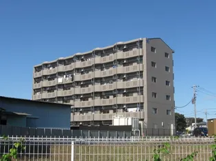 Y&Mアーバンライフの画像