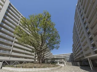 シティコート目黒1号棟【8階】の外観