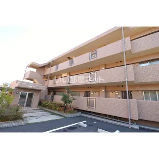 LOTOS BLUME IIの画像