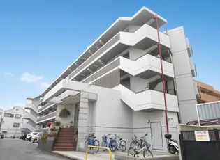 オオシマフラッツインパルの画像