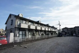 ビューラMの画像