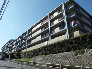 エル パティオの画像