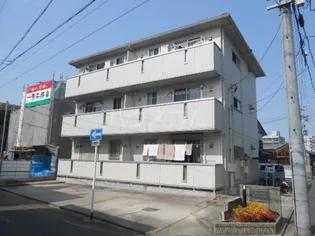 セジュール大秋【3階】の外観