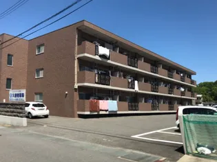 レディーバード18の画像