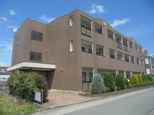 神奈川県小田原市清水新田【マンション】の外観