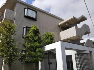 埼玉県さいたま市南区文蔵1【マンション】の外観