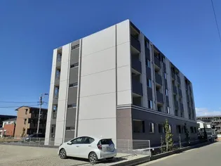 フェリーチェ大鷹の画像