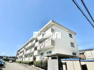 グレース柏木【1階】の外観