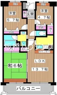 グリーンパレス石川【3階】の間取り