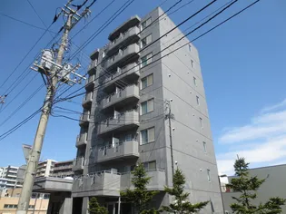 ハウスオブリザ平岸参番館【8階】の外観