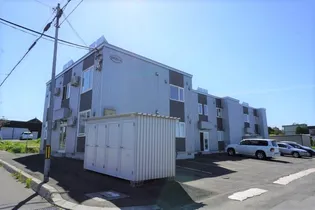 カモミールの画像