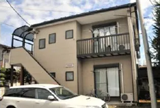 プリムラの画像