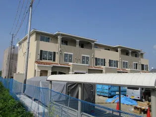 サングリーンの画像