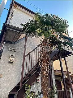 ホワイトヒルの画像