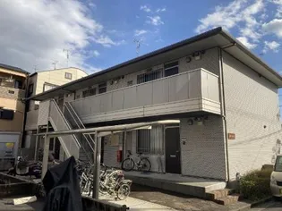 メープルの画像