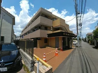 リトルブラウンの画像