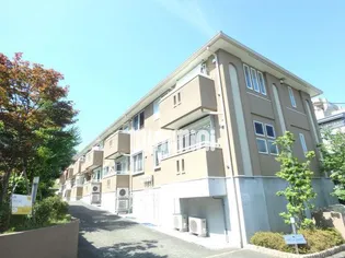 COLINA VERDEの画像