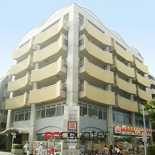 カーサクロヤナギの画像