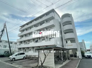 ルミエールQの画像