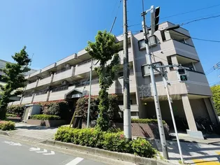 ドルフ綾瀬の画像