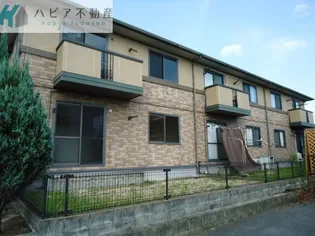 アムール美里の画像