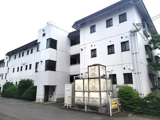 新田サンハイツ【3階】の外観