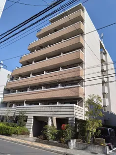 エスエスハイツ市川【1階】の外観