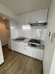 テラス・レイクマウント【5階】のキッチン