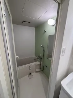 テラス・レイクマウント【5階】の風呂