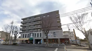岡山県岡山市中区東川原【マンション】の外観