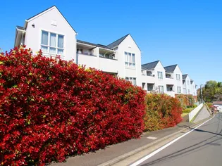 シダークレストあざみ野B棟の画像