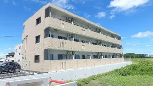 アンジューVIIIの画像