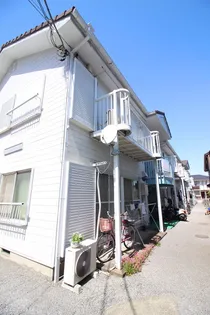 コーポラスホワイトの画像