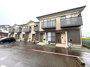 HEIM ZELKOVAの画像