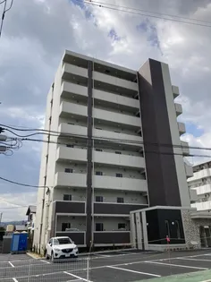 トレステーラ リデアル上人の画像