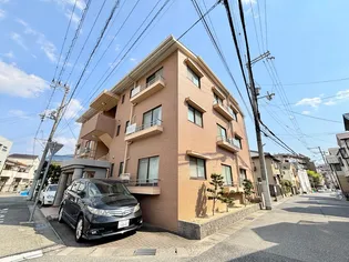 サントールVIの画像