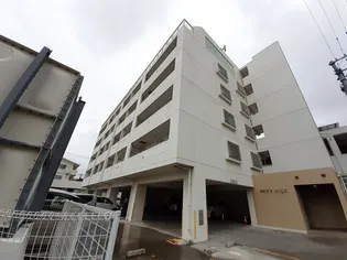 ルピナス HIGAの画像