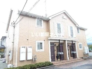 サンフラワー Uの画像