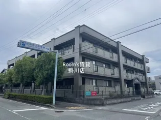 グライス武藤の画像