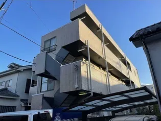 ニューフォレストの画像
