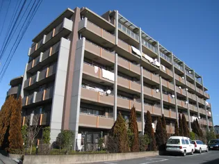 サンクレイドル水戸【7階】の外観