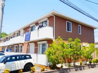 トルトゥーガDの画像