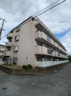 第9カシノハイツの画像